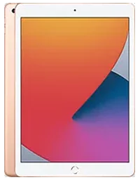 iPad 8 (10.2″)
