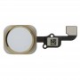 Home Button και Καλώδιο για iPhone 6S/6S Plus - χρυσό Home Button και Καλώδιο για iPhone 6S/6S Plus - χρυσό