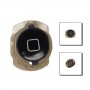 Home button iPod touch 4g