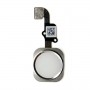 Καλωδιοταινία μαζί με Home Button για iPhone 6/6 Plus ασημί