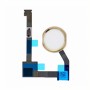 Κεντρικό κουμπί & καλωδιοταινιά για iPad Air 2 - Χρυσό